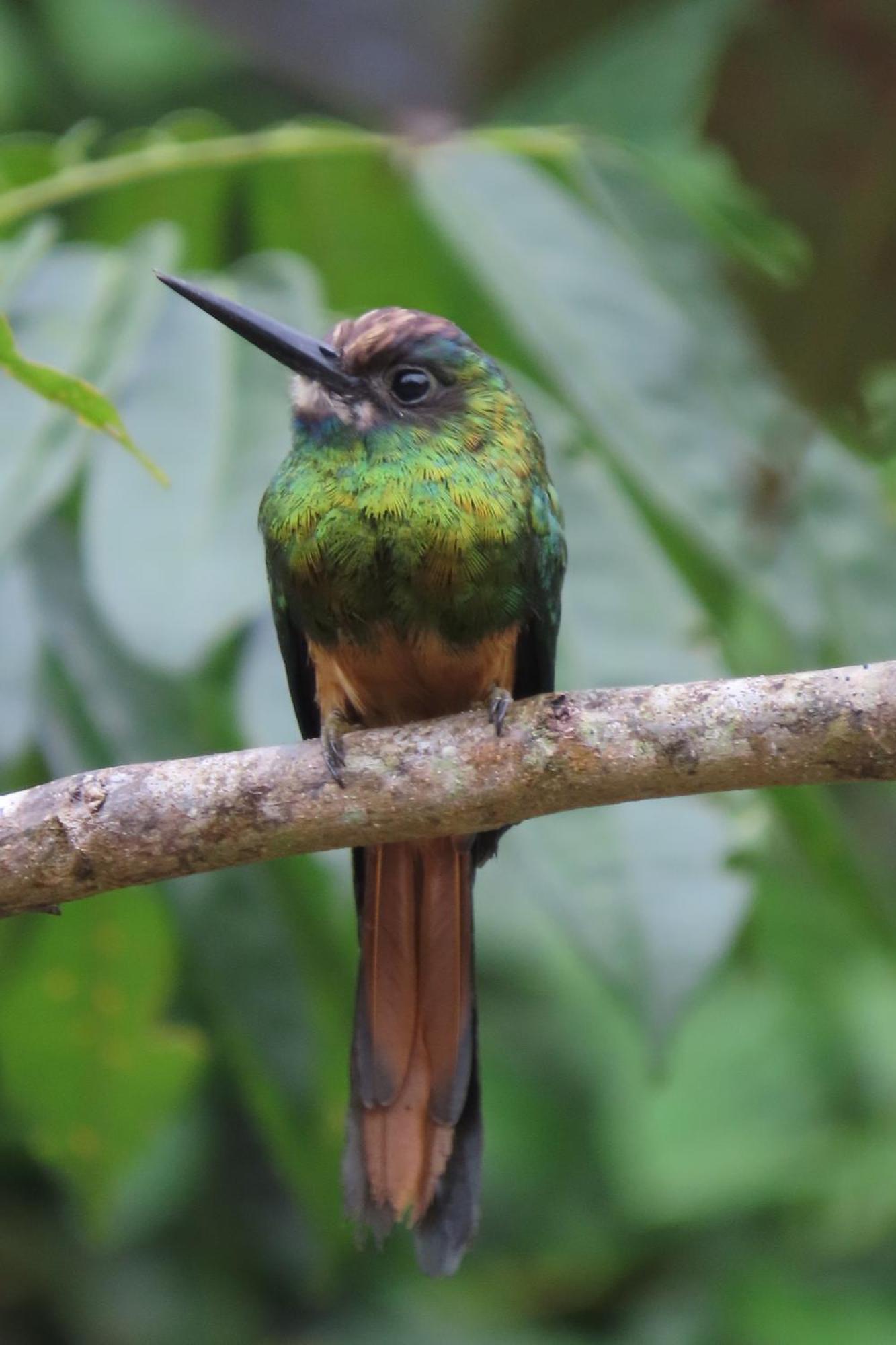 Hospedaje Y Tours Reina Arriera Amazonas Colombia Macedonia Exteriér fotografie